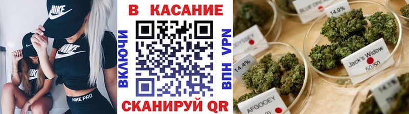 Как найти закладки Балашиха Каннабис  Мефедрон  Кокаин  ТГК  ГАШ 