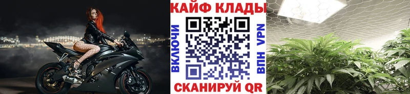 Codein Балашиха