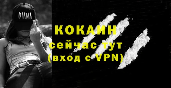 ешки Корсаков