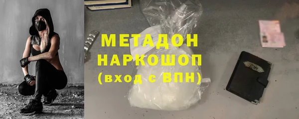 прущие грибы Алзамай