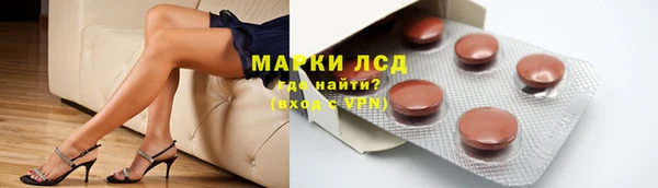 прущие грибы Алзамай