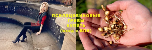 кокс Абаза