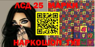 стафф Кузнецк