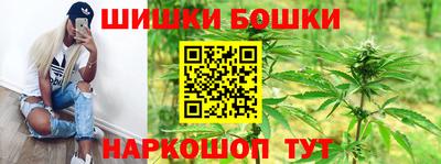стафф Кузнецк