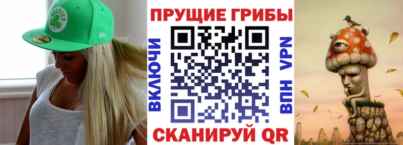 Галлюциногенные грибы Psilocybe Балашиха