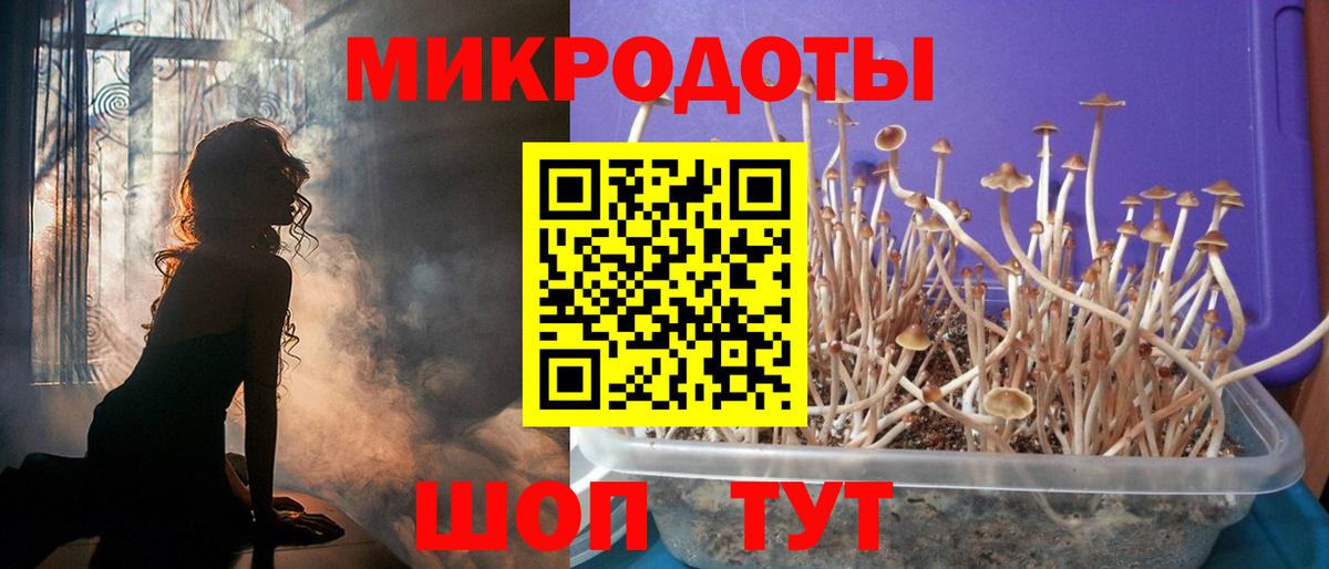 Галлюциногенные грибы Psilocybe  Галлюциногенные грибы MAGIC MUSHROOMS  Балашиха  Вход с VPN 
