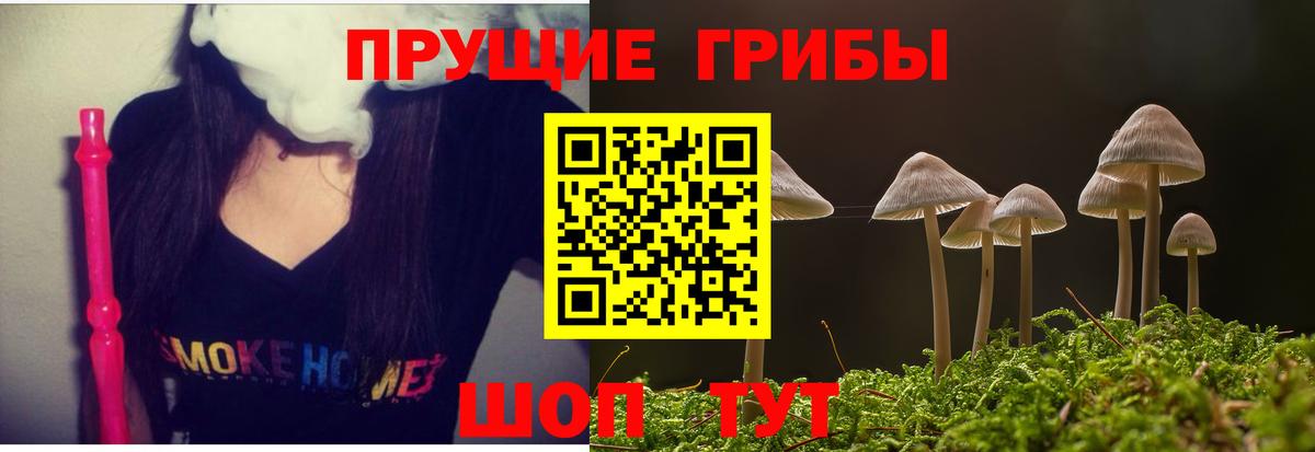 Галлюциногенные грибы MAGIC MUSHROOMS Балашиха